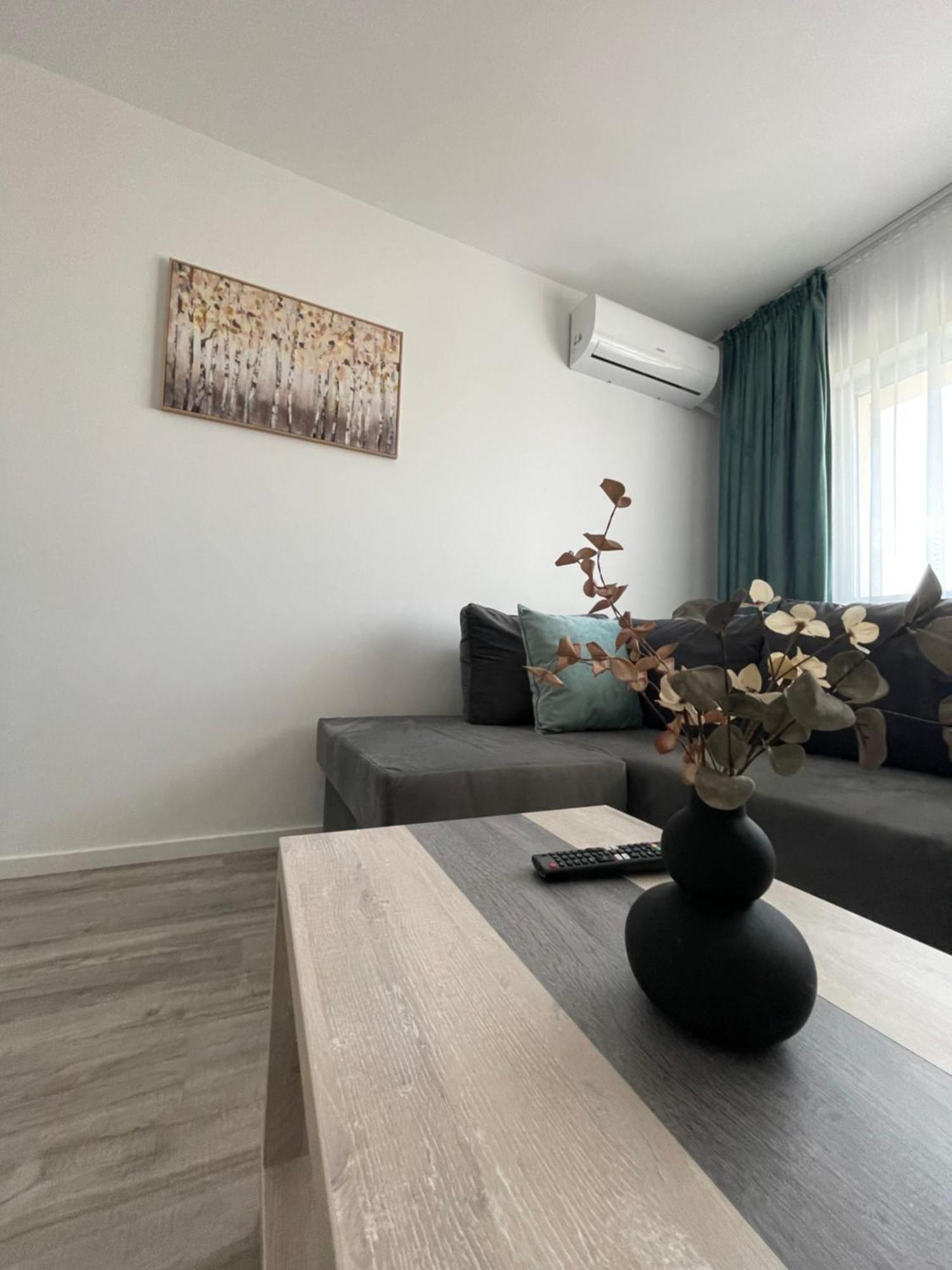 Comfort & Luxury Apartaments Pnmresidence 티미쇼아라 외부 사진