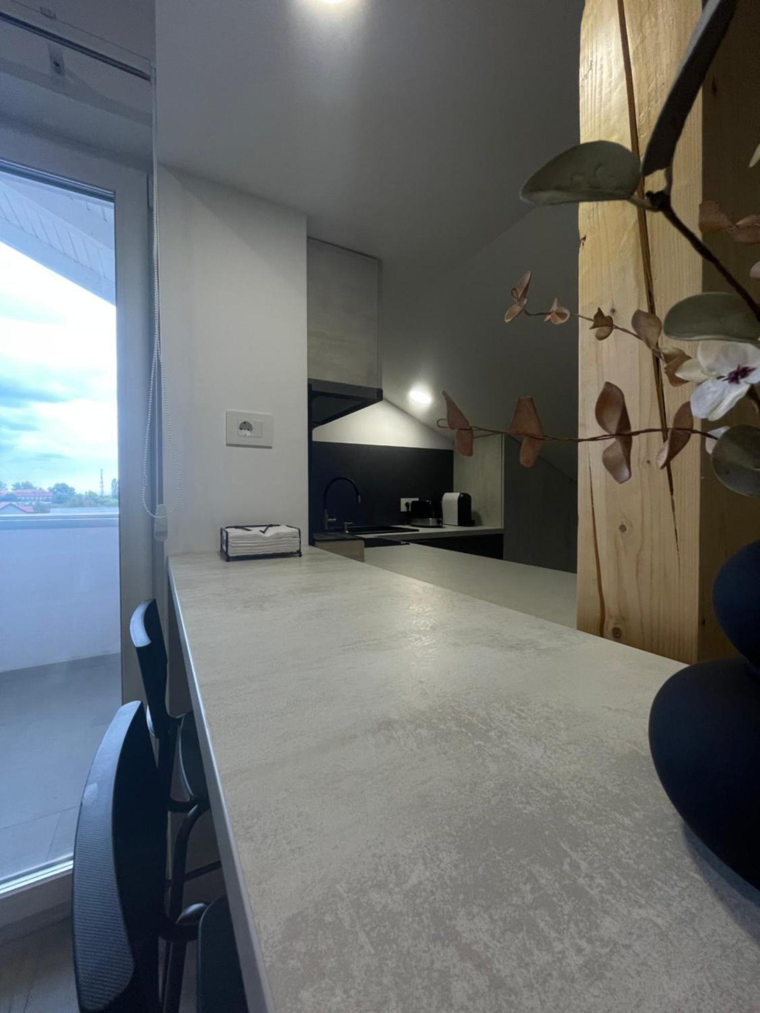 Comfort & Luxury Apartaments Pnmresidence 티미쇼아라 외부 사진