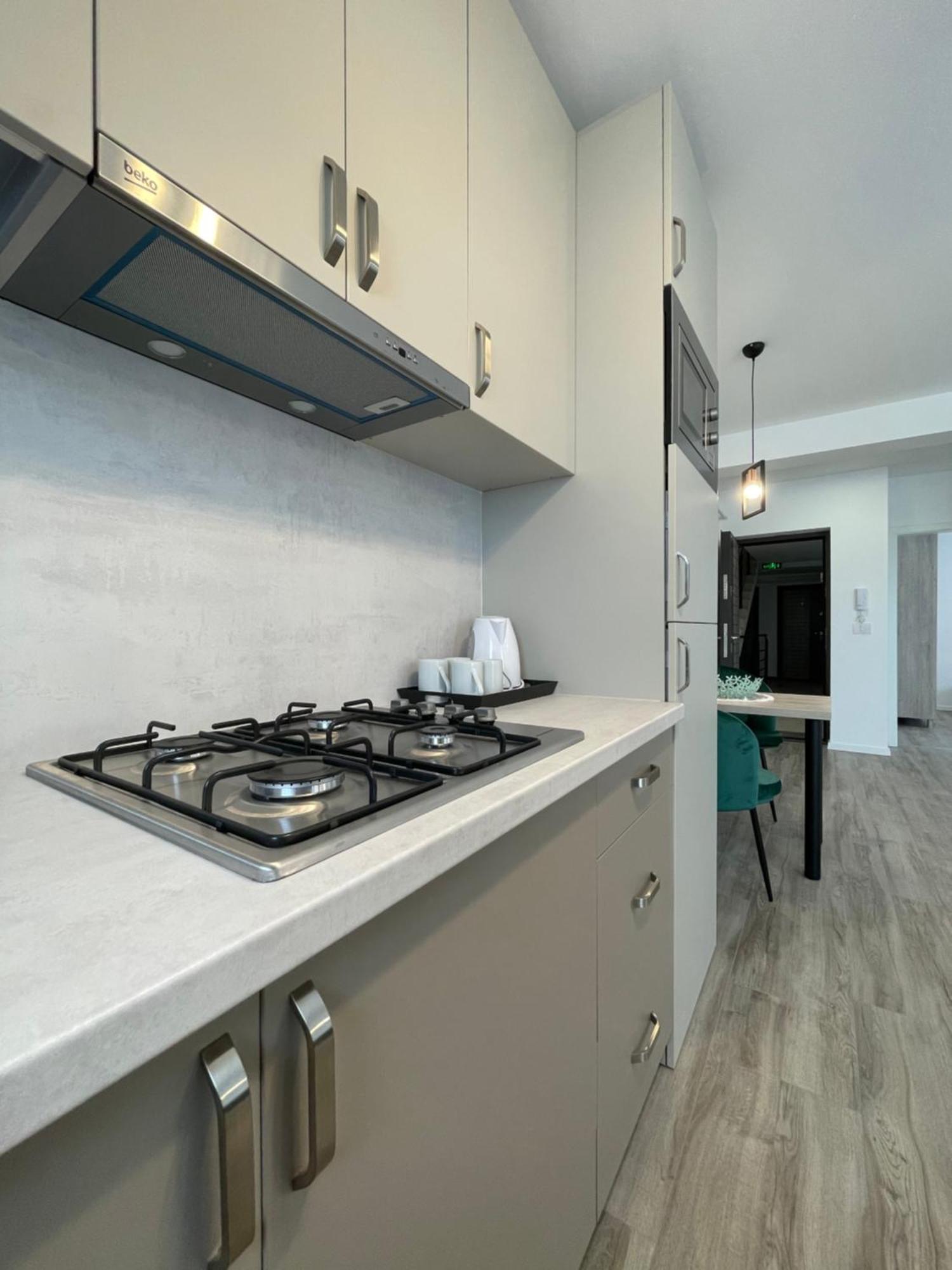 Comfort & Luxury Apartaments Pnmresidence 티미쇼아라 외부 사진